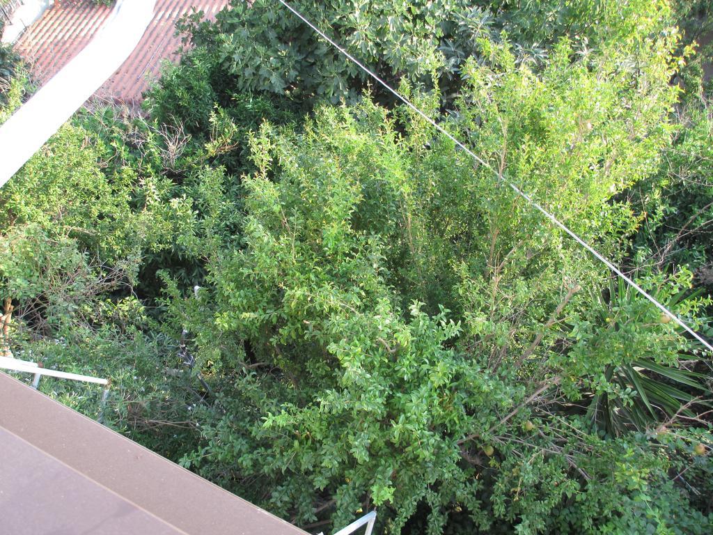 Nick House Hotel Plomari Exterior foto